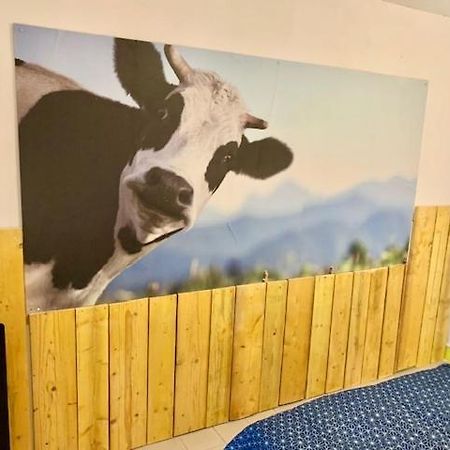 Le Depot Studio Du Petit Port Champvert 外观 照片